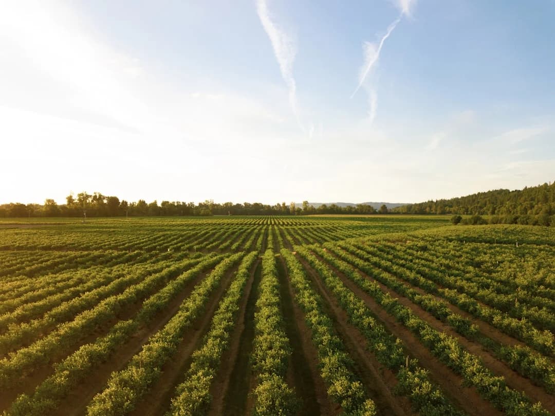 Cover Image for Agtech Et Agriculture Canada 2026: Innovation and Investment