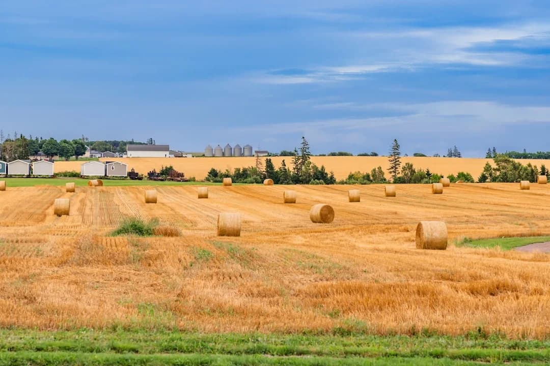 Cover Image for Blockchain Et Traçabilité Agroalimentaire Canada 2026