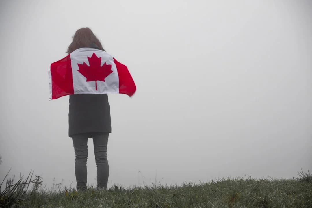 Cover Image for Adoption De L'IA Générative Au Canada 2026: News Update